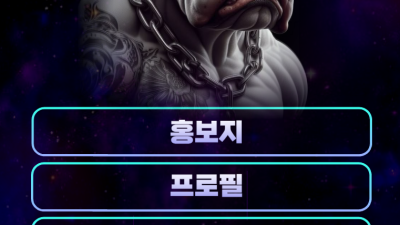 NO.1 시가 디자인