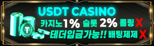 USDT카지노